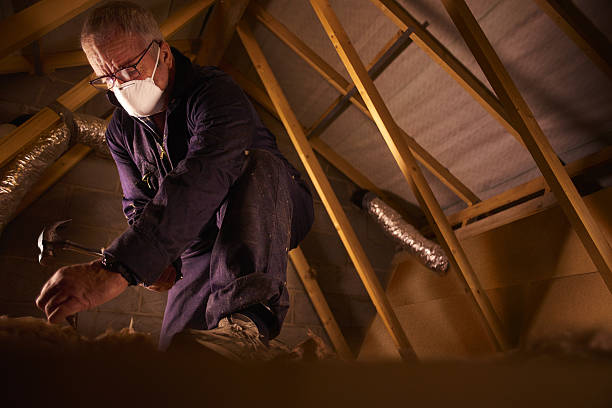 Trusted Copperopolis, CA Insulation Contractor Experts